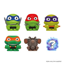 Load image into Gallery viewer, TMNT Mashems
