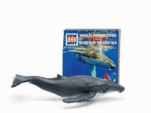 Load image into Gallery viewer, Tonies How and Why - Whales
