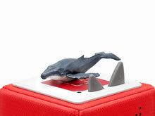 Load image into Gallery viewer, Tonies How and Why - Whales
