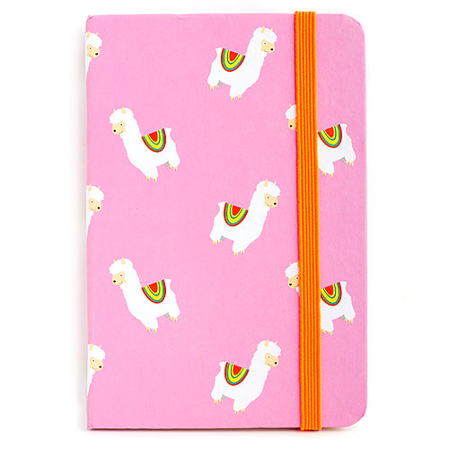 Notebook - Llama