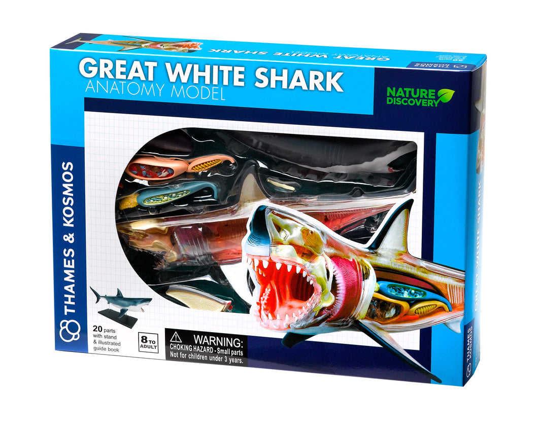 Nature Discovery Great White Shark